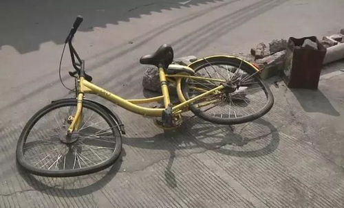 体重即动力 反转认知的自行车革命